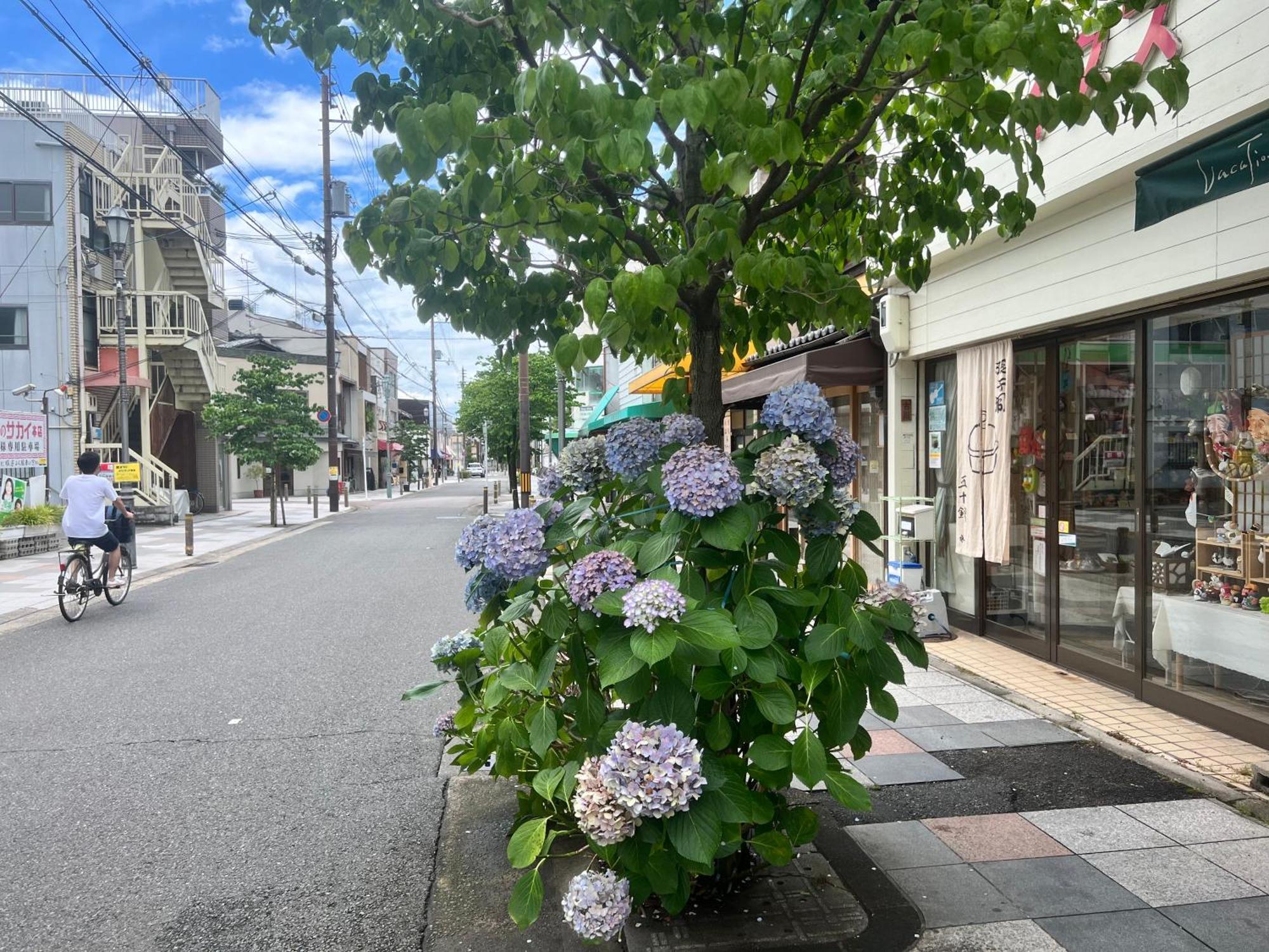 京都Kyomachiya Daitokuji别墅 外观 照片